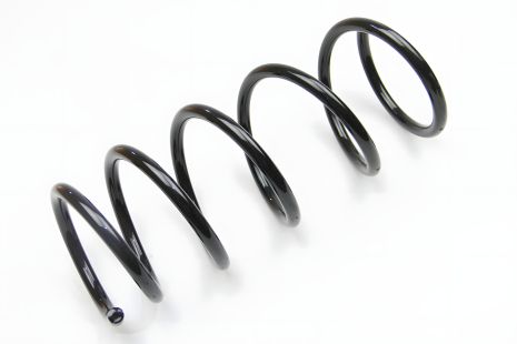 Передня пружина для Kangoo 1.6i/1.9D/dCi 98- від CS Germany (14871266) Передня пружина для Kangoo 1.6i/1.9D/dCi 98- від CS Germany (14871266)