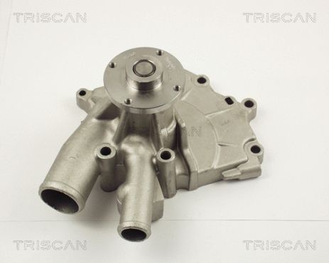 Водяной насос, помпа NISSAN TRADE, NISSAN CABSTAR, NISSAN VANETTE, TRISCAN (860014010)