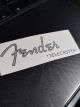 Деколь наклейка для электрогитары Fender Telecaster silver