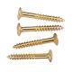 18 мм саморізи для кріплення пікгарду електрогітари, золоти 18 мм саморізи для кріплення пікгарду електрогітари, золоти