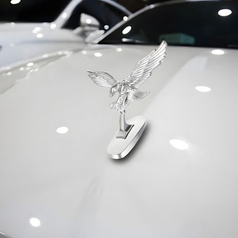 Шильд прикраса ОРЕЛ Eagle на капот хром