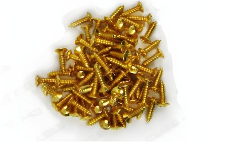 Саморізи для кріплення пікгарду гітари електрогітар золото Саморізи для кріплення пікгарду гітари електрогітар золото