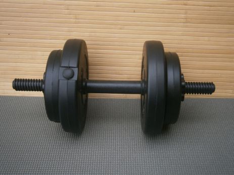 Гантели Sport Lux 1 PC / 8 кг склад с амортизацией ABS 45 см / 30 мм
