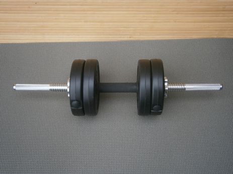 Гантели "Три граф" Sport Lux 1 PC 6,5 кг / 60 см / 25 мм
