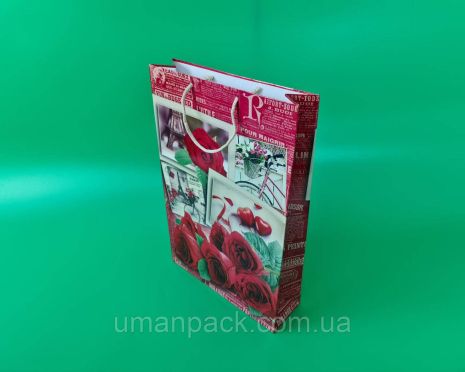 Большой бумажный пакет вертикальный 25/37/8(артBV-064) (12 шт)