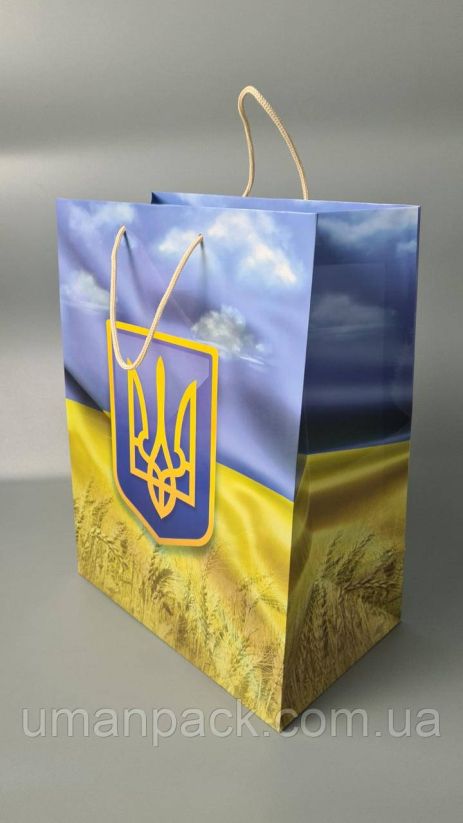 Подарочный бумажный пакет Гигант (широкое дно )о 30/40/17(артGSD-40) (12 шт)