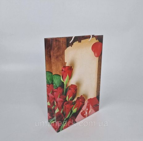 Великий паперовий пакет вертикальний 25/37/8 (артBV-007) (12 шт)