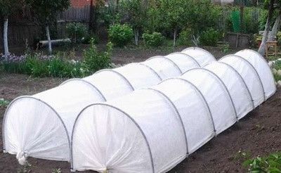 Парник 8м з агроволокна «СУФ-50» Парник 8м з агроволокна «СУФ-50»