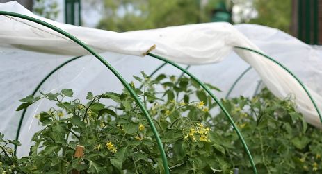 Парник 5м з агроволокна AGREEN