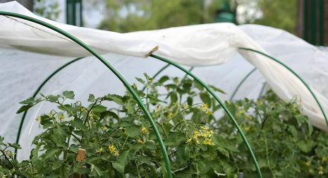 Парник 5м з агроволокна AGREEN