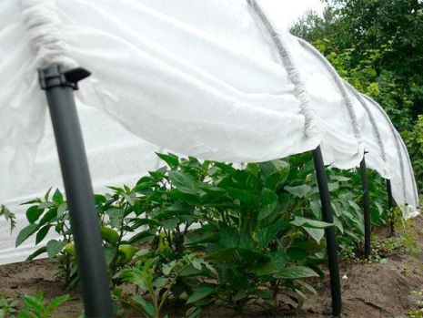 Парник 3м з агроволокна «СУФ-42» розбірний