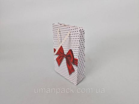 Пакет паперовий подарунковий малий 11/18/5 (арт М001) (12 шт)