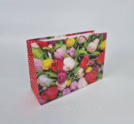 Паперовий великий горизонтальний пакет 36/22/10 (артBG-037) (12 шт)