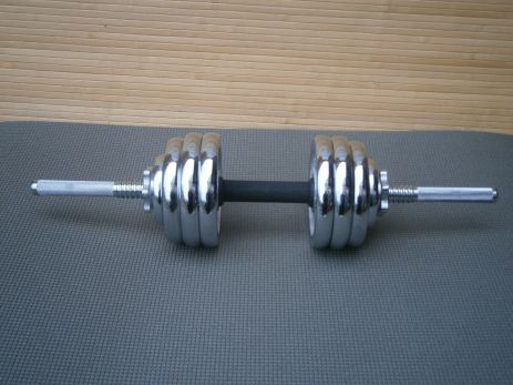 Гантели "Три граф" Sport Lux 1 PC 14 кг с металлическими хромированными дисками 60 см / 25 мм