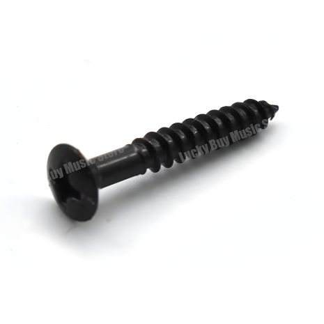 Саморізи 22 мм метізи кріплення для бриджу електрогітари чорні Саморізи 22 мм метізи кріплення для бриджу електрогітари чорні