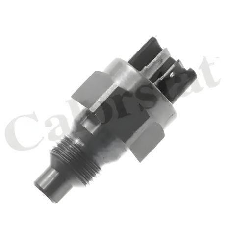 Температурний датчик RENAULT TRAFIC, RENAULT 21, RENAULT 19, VERNET (WS2617)