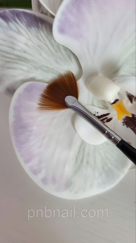 Віяловий пензель для дизайну Віяловий пензель для дизайну