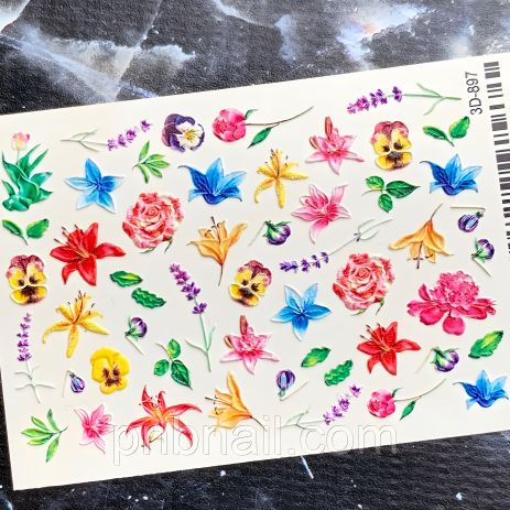 3D-897 (обновленный) 3D-897 (обновленный)