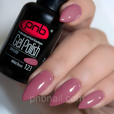 PNB гель-лак 8 мл №123 (8 мл) PNB гель-лак 8 мл №123 (8 мл)