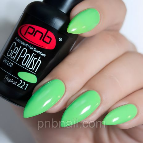 Гель-лак PNB 8 мл (№ 221)