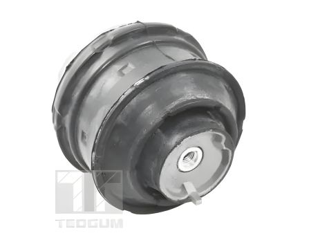 Двигуна подушка MB SLK, MB E-CLASS, TEDGUM (TED72237) Двигуна подушка MB SLK, MB E-CLASS, TEDGUM (TED72237)