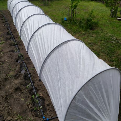 П’ятиметровий крапельний полив для парника, 3 ряди П’ятиметровий крапельний полив для парника, 3 ряди