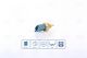 Температури датчик NISSENS FIAT SCUDO, CITROËN XSARA, PEUGEOT 206+ (207033)