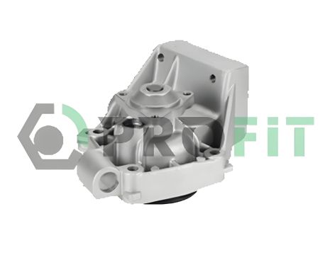 Водяний насос PEUGEOT BOXER, FIAT DUCATO, CITROËN JUMPER, PROFIT (17010607)