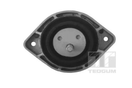 Подушка двигуна BMW X3, TEDGUM (00088692)