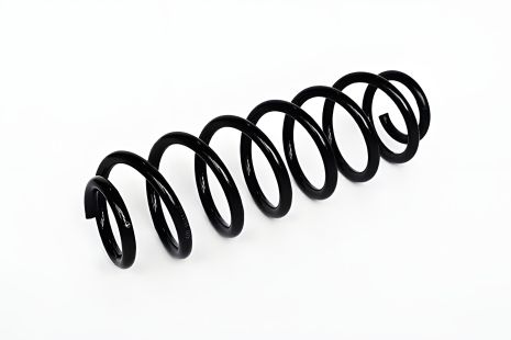 Задня пружина підвіски VW GOLF, SKODA OCTAVIA, VW JETTA, ASAM (73731) Задня пружина підвіски VW GOLF, SKODA OCTAVIA, VW JETTA, ASAM (73731)