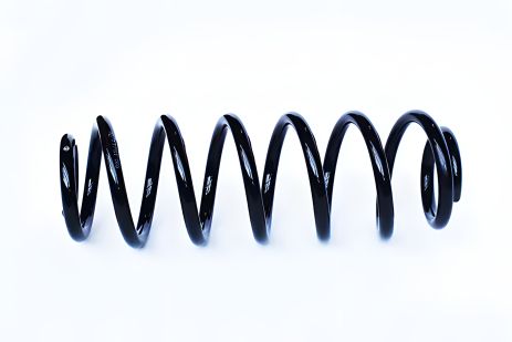 Пружина для подвески VW GOLF, ASAM (73770)