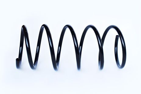 Передняя подвесная пружина для RENAULT LAGUNA, ASAM (73729) Передняя подвесная пружина для RENAULT LAGUNA, ASAM (73729)