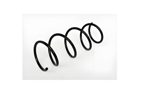 Подвесная пружина RENAULT CLIO, ASAM (73792)