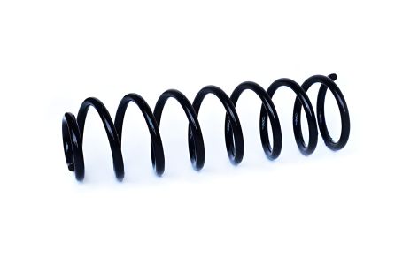 Пружина підвіски задня для RENAULT MEGANE, ASAM (73779)