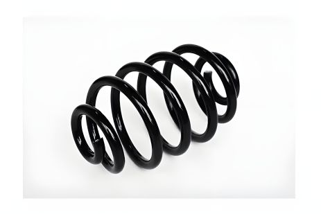 Задня пружина підвіски RENAULT CLIO, ASAM (73795)