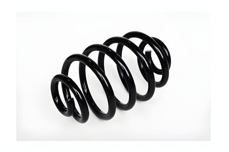 Задня пружина підвіски RENAULT CLIO, ASAM (73795) Задня пружина підвіски RENAULT CLIO, ASAM (73795)