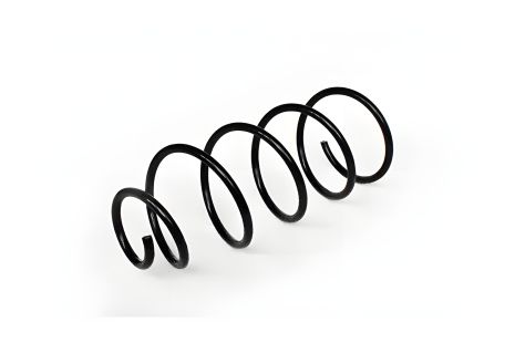 Передня підвіски пружина CITROËN C4, PEUGEOT 307, ASAM (73793) Передня підвіски пружина CITROËN C4, PEUGEOT 307, ASAM (73793)