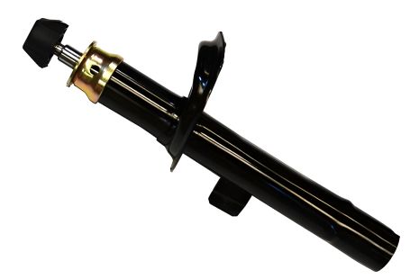 PEUGEOT 206+ Амортизатор, ASAM (71440)