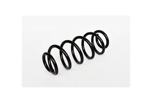 Пружина подвески SKODA SUPERB, VW PASSAT, AUDI A4, ASAM (73751) Пружина подвески SKODA SUPERB, VW PASSAT, AUDI A4, ASAM (73751)
