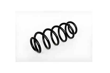 Пружина амортизационная SKODA SUPERB, VW PASSAT, AUDI A4, ASAM (73751) Пружина амортизационная SKODA SUPERB, VW PASSAT, AUDI A4, ASAM (73751)