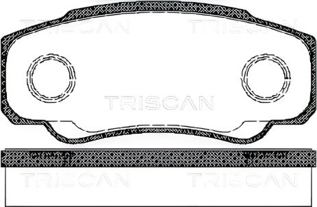 Гальмівні колодки Boxer/Ducato/Jumper, TRISCAN (811010533)