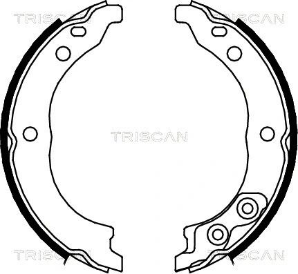 Комплект колодок гальма стоянки PEUGEOT BOXER, FIAT DUCATO, CITROËN JUMPER, TRISCAN (810010010)