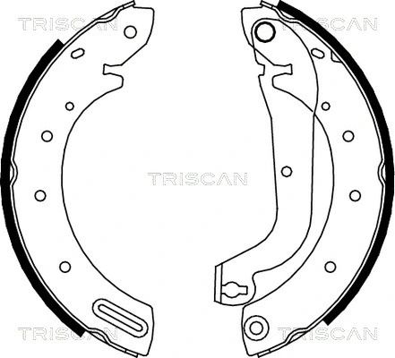 Комплект тормозных колодок LDV CUB, FORD MAVERICK, NISSAN VANETTE, TRISCAN (810014596)