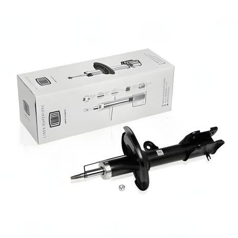 Амортизатор на HYUNDAI SANTA, TRIALLI (AG08185) Амортизатор на HYUNDAI SANTA, TRIALLI (AG08185)