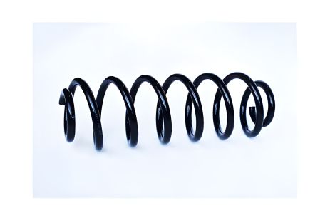 Задня підвіска пружини VW TIGUAN, VW PASSAT, ASAM (73786)