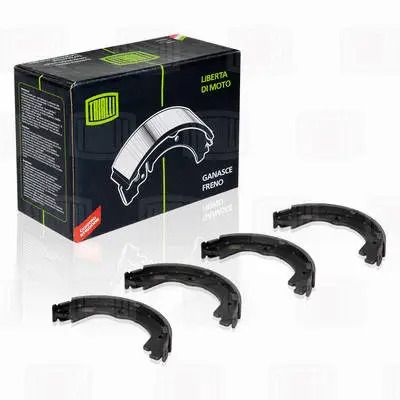 Комплект колодок гальма стоянки CHEVROLET CAPTIVA, OPEL ANTARA, VW PASSAT, TRIALLI (GF0544)