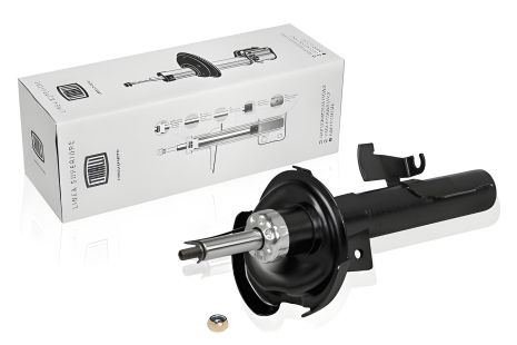 Амортизатор Mazda 3, Mazda 5, Trialli (AG25150) Амортизатор Mazda 3, Mazda 5, Trialli (AG25150)