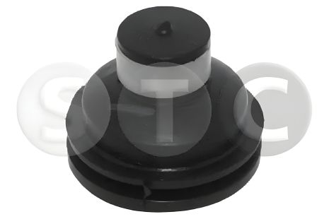 Двигуна подушка RENAULT KANGOO, RENAULT CLIO, STC (T405784)