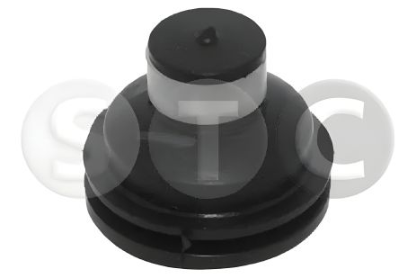 Двигуна подушка RENAULT KANGOO, RENAULT CLIO, STC (T405784)