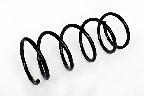 Подвесная пружина FORD FOCUS, ASAM (73763)